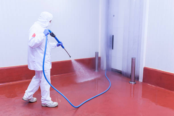 Best Sidewalk and Walkway Cleaning  in Warsaw, MO